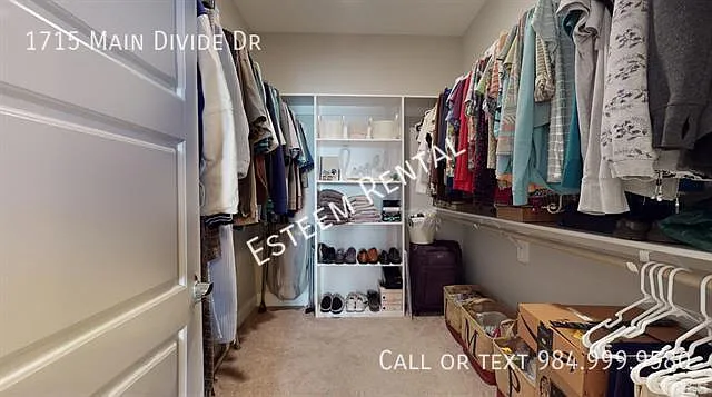 1715 Main Divide Dr — Photo 10