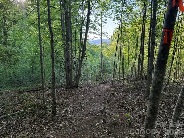 6 W Legacy Dr, Hendersonville, NC 28739