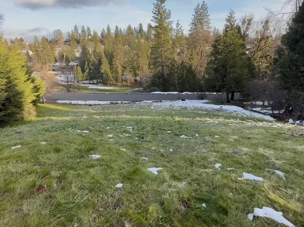 501 Forest Meadows Dr, Murphys, CA 95247