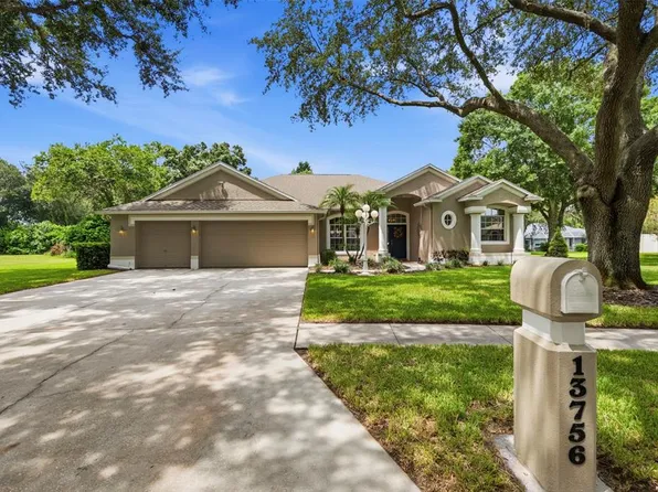 13756 DOWLING LANE, ODESSA, FL 33556