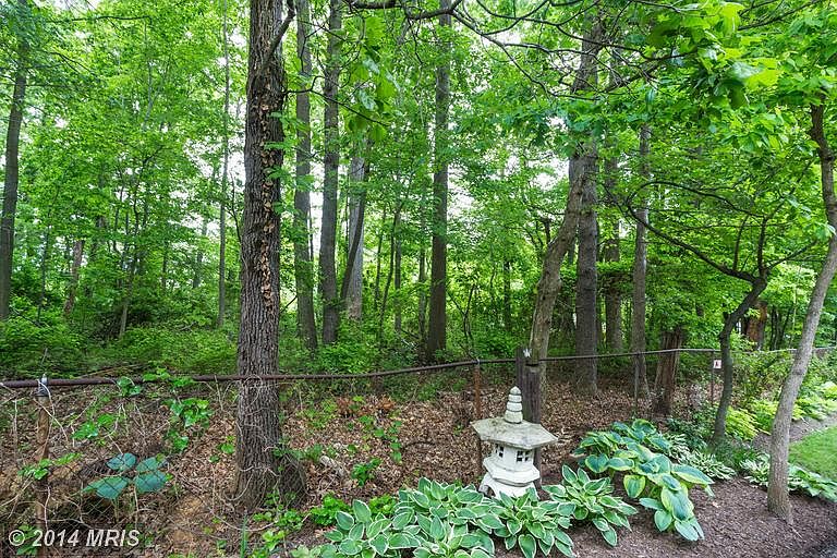 2nd image of 2331 Sawtooth Oak Ct