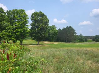 27 Cubs Way, Vanderbilt, MI 49795