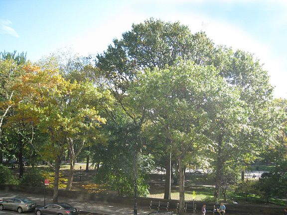 5th image of 25 Central Park W APT 3K