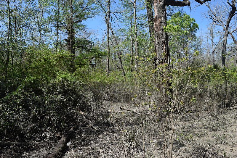 1st image of Aydell Ln Lot 18
