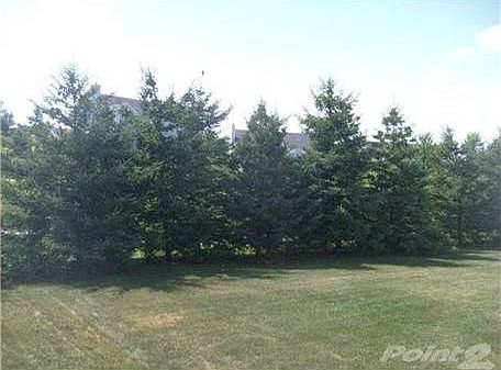 4th image of 1428 Chapleau Dr
