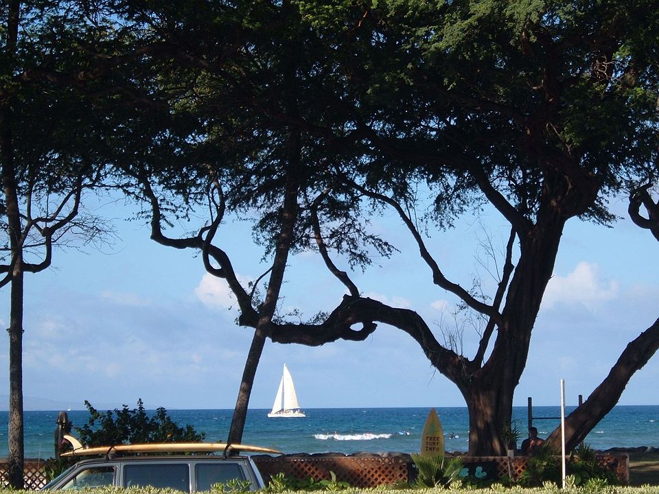 ocean views