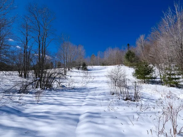 0 Route 155, Mount Holly, VT 05758