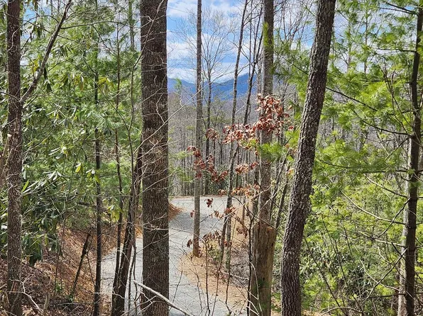 0 Camp Branch Rd, Topton, NC 28781