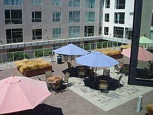 Our courtyard that everyone can use