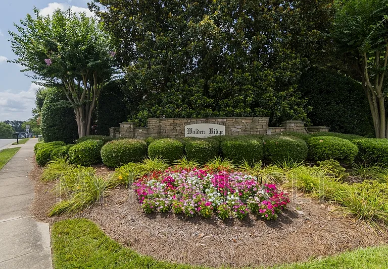 10029 Dauphine Dr — Photo 43