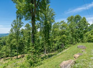 4 Ridgetop Ln, Unicoi, TN 37692