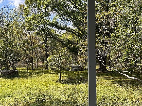 Back yard. Entire lot fenced
