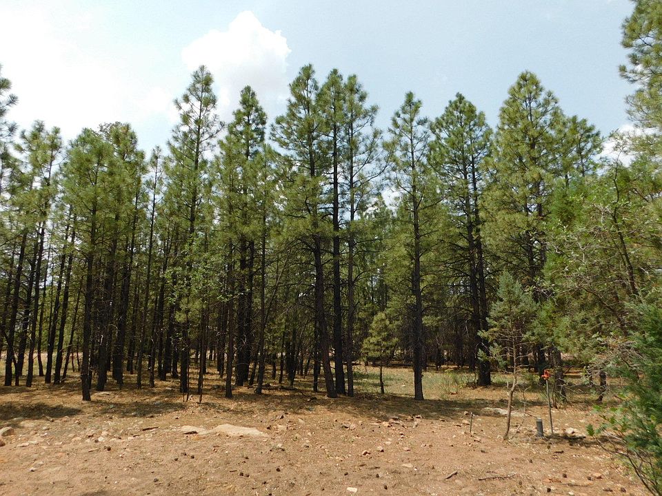 1825 Evergreen Path Happy Jack, AZ, 86024 Apartments for Rent Zillow