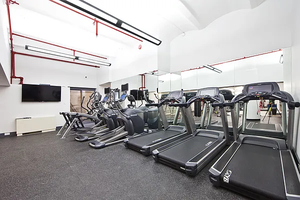 Rented by Bold New York | media 21