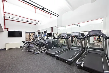 Rented by Bold New York