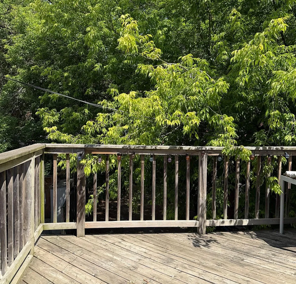 2 bed, $2,500 — Photo 3