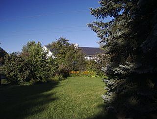 View of the back lawn from pool