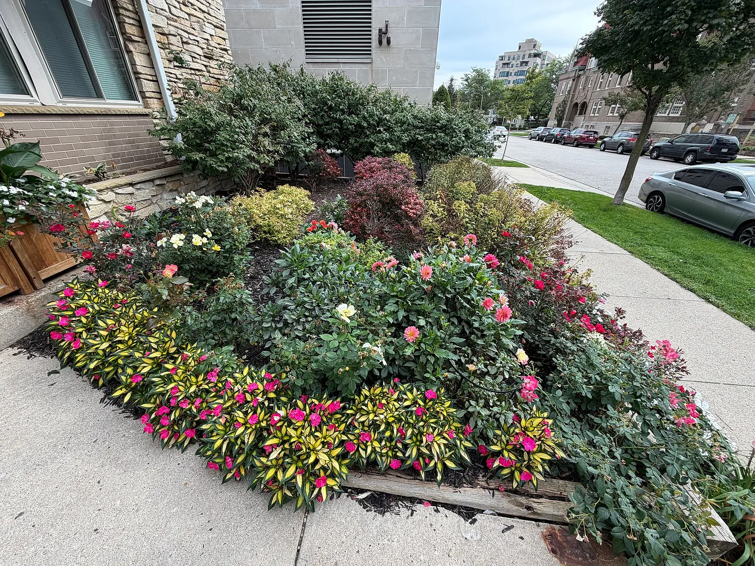 1112 Knapp — Photo 3