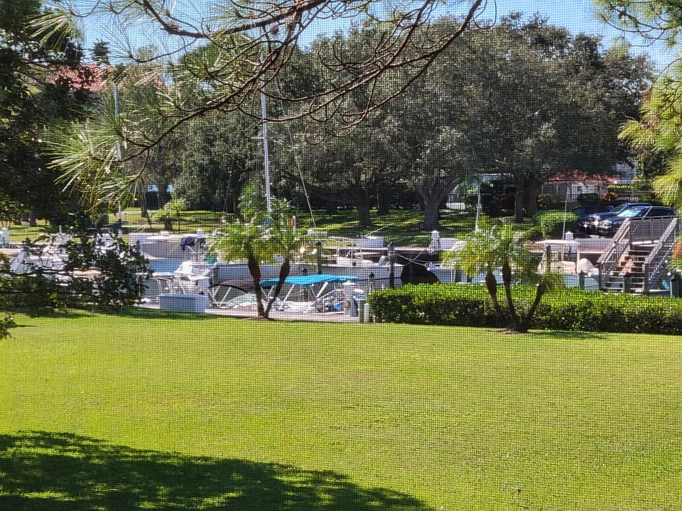 Large yard to Marina