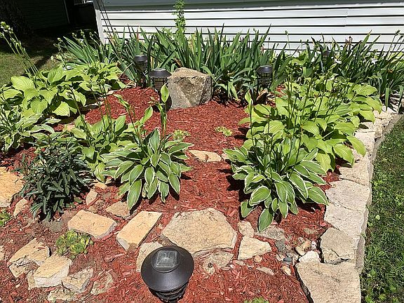 Mature landscaping 