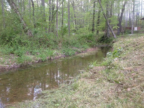 Year-round Creek