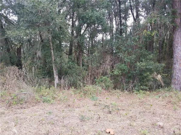 3677 S Ventura Ave, Inverness, FL 34452