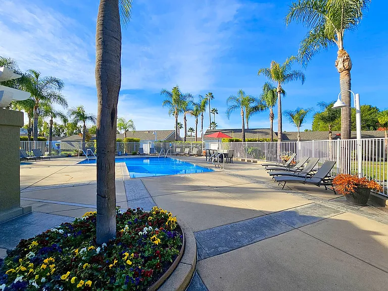 Citrus Court Apartments — Photo 42