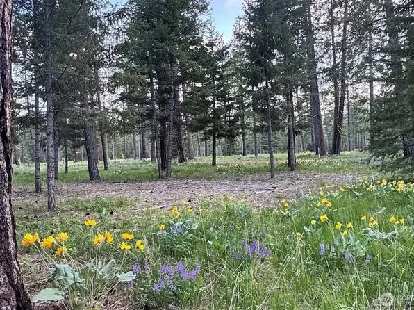 331 Wanawish Loop, Cle Elum, WA 98922