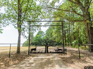 20870 Stevenson Rd, Frankston, TX 75763