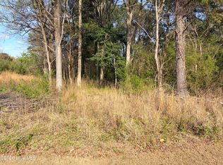 3 Saint Paul Rd LOT 3, Roanoke Rapids, NC 27870