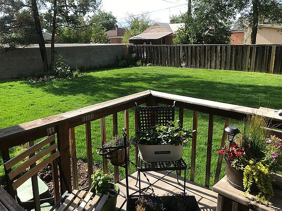 New Grass & Sprinkler Sys