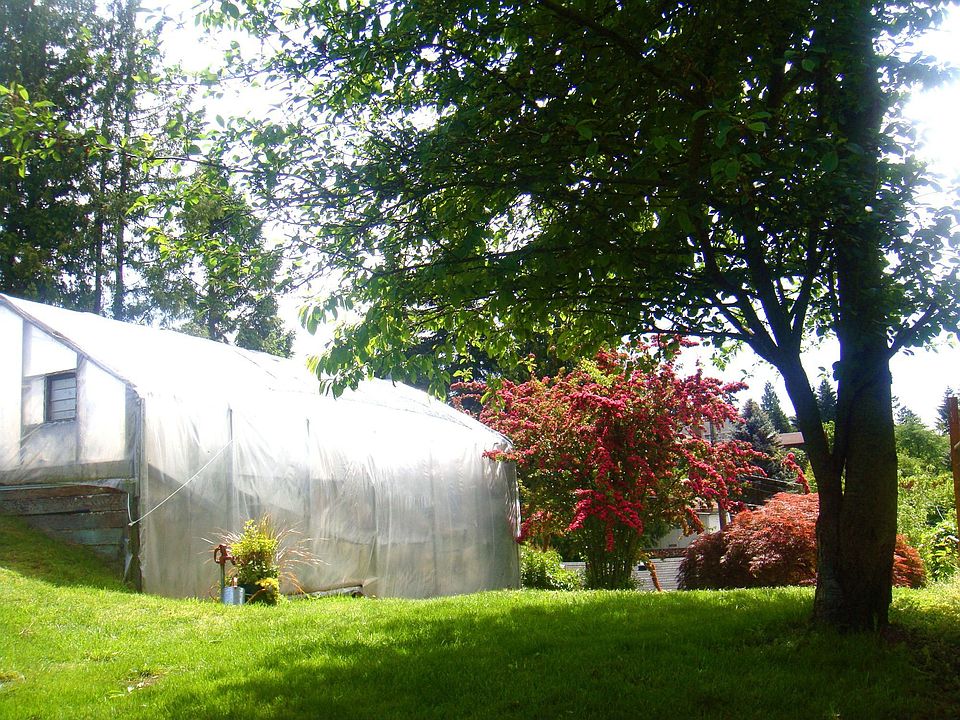 Greenhouse and lush backyard area