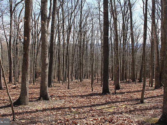 4th image of Sideling Mountain Trl