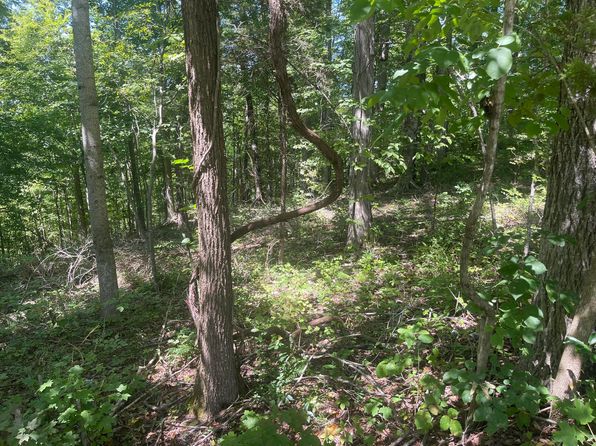 82 Pleasant View Dr, Nancy, KY 42544