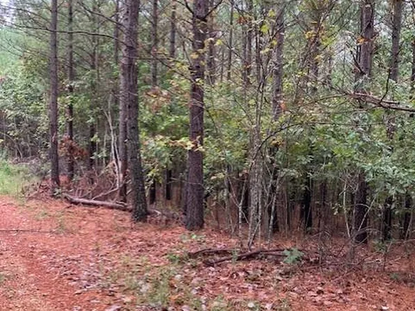 159 Madison St #410, Fredericktown, MO 63645