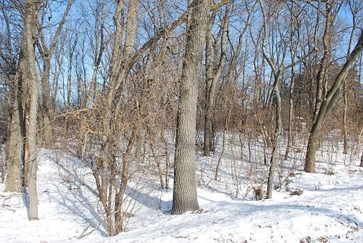 2nd image of LOT 47 Island Dr