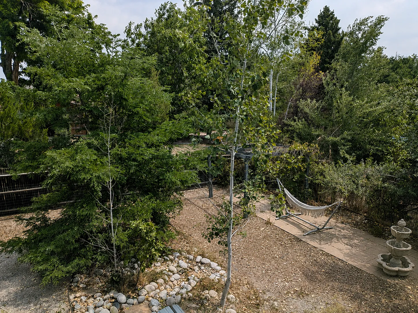 3 bed, 1400 sqft, $2,895 — Photo 4