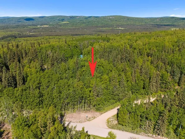 Nhn East Birch Hill Rd, Fairbanks, AK 99712