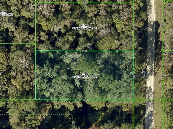 Lot 3 CAROLINA DOVE ROAD LOT 3, WEEKI WACHEE, FL 34614