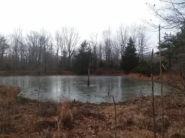 000 County Road 1290, Willow Springs, MO 65793