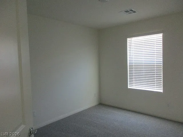 422 Canary Song Dr — Photo 19