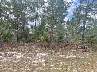 1342 Homosassa Dr Lot 11, Kissimmee, FL 34759