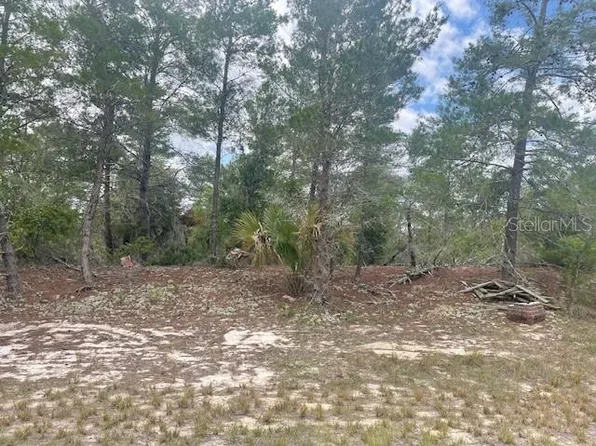 1342 Homosassa Dr Lot 11, Kissimmee, FL 34759