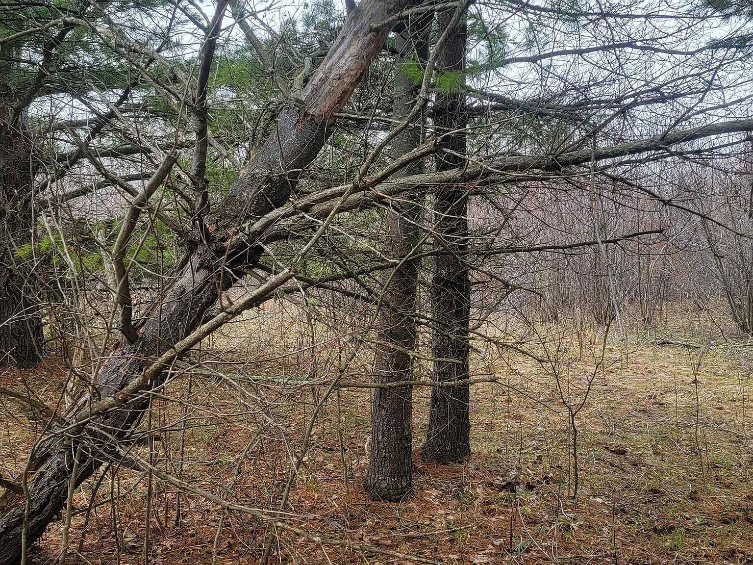 87 Stage Rd, Cornucopia, WI 54827 Zillow