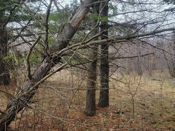 87 Stage Rd, Cornucopia, WI 54827