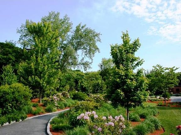RSM Grounds