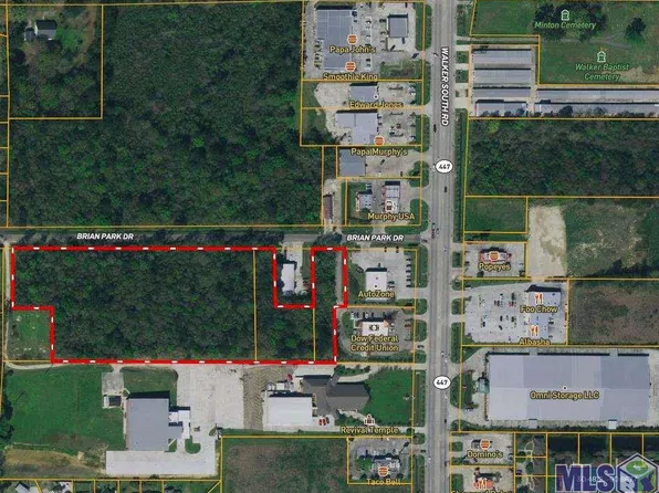 Brian Park Dr, Walker, LA 70785