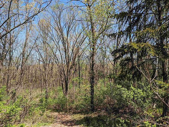 4th image of LOT 1 Keewatin Trl