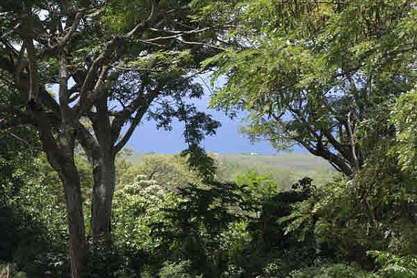 1st image of 85-4679 Mamalahoa Hwy Lot 7