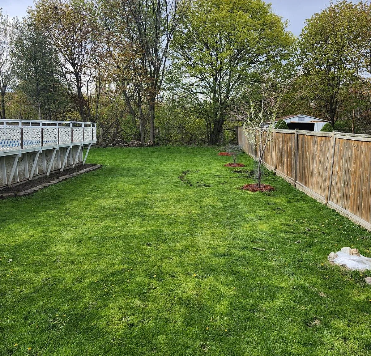 3 bed, $3,000 — Photo 2